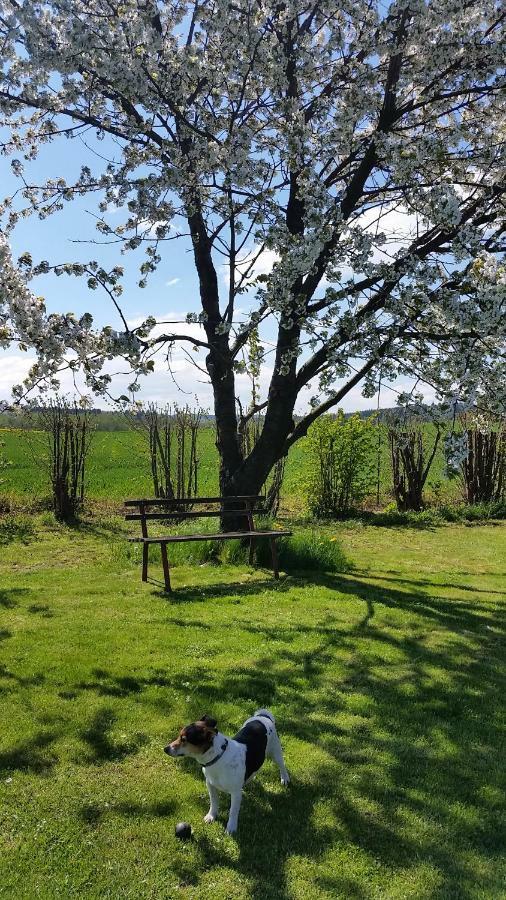 Ferienhaus Stolle Lawalde Εξωτερικό φωτογραφία
